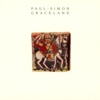 Songblog: Paul Simon / The Boy in the Bubble
